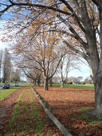 Ｐ９８-０４８Ｆ