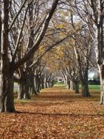 Ｐ９８-０４９Ｆ