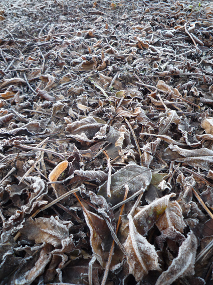 Ｐ９８-０５１Ｆ