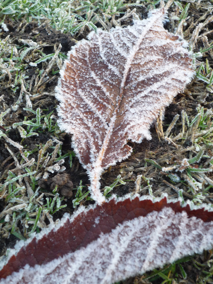 Ｐ９８-０５３Ｆ