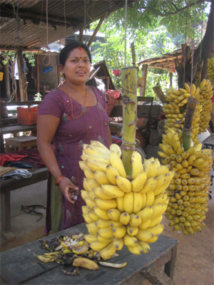 どのへん切ろうか？