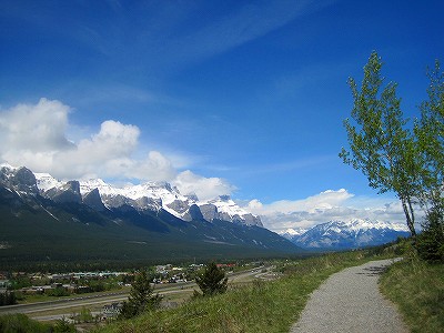 キャンモアのポプラ
