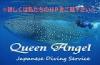 私たちが皆さまをツアーへご案内いたしま〜す♪スタッフ全員ダイビングインストラクター！創立１０周年キャンペーン開催中☆ 詳しくはＨＰをチェックして下さいね！