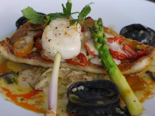 ステラのランチ4