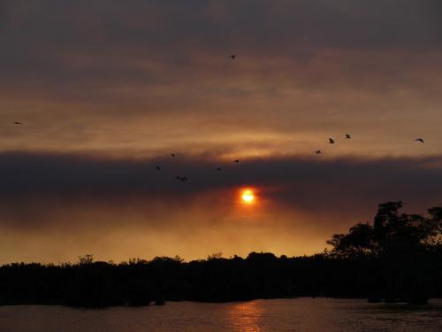 ジャングルクルーズ夕日2