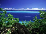 フアヒネ島はボラボラのタヒチです