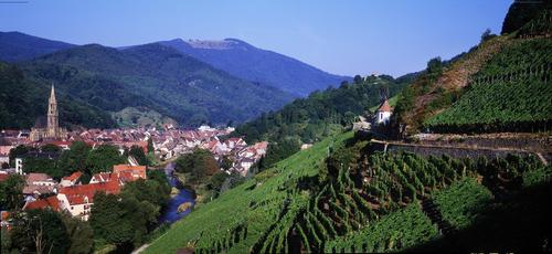 Alsace Route des vin