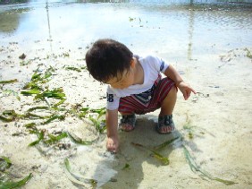 ロングアイランド2