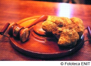 アルバの白トリュフオークション