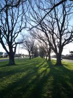 Ｐ９９-０２５Ｆ