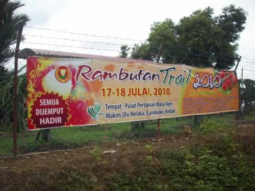 Rambutan2010