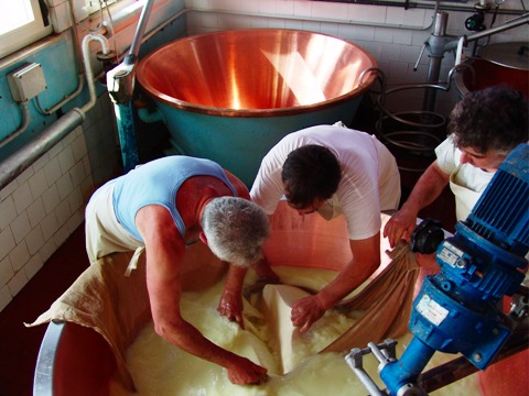イタリア レッジャーノチーズ工場見学