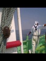 暑いのは当たり前