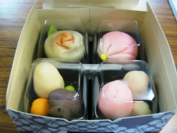 体験セット 体験前