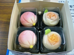 体験セット 体験後