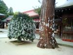 八重垣神社　境内