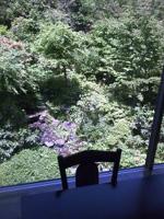 自慢の庭です!