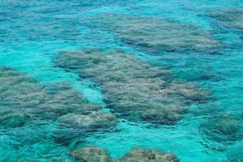 遊歩道からの景色