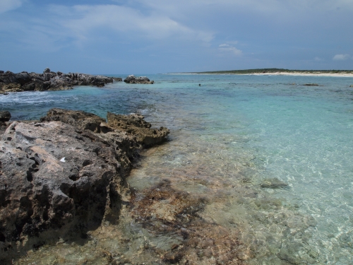 チェーン・リオ