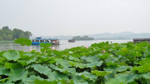 西湖1