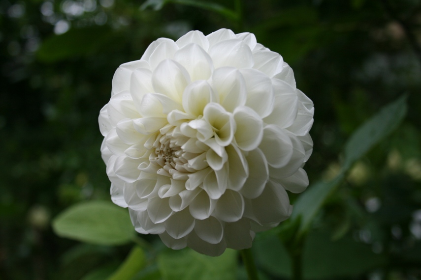 バラクラ でシェイクスピア劇008