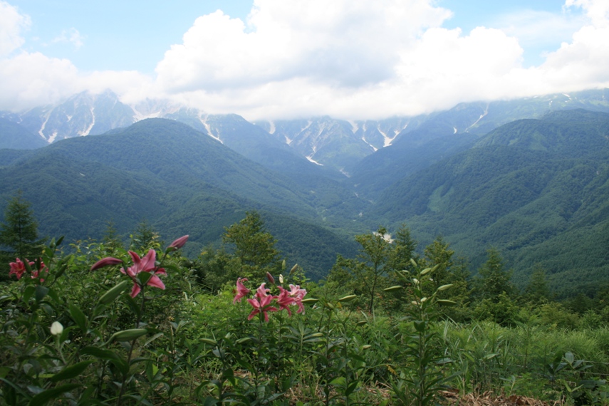 いわたけゆり園＆マウンテンビュー034