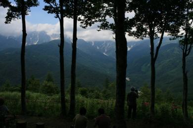 アルプスの絶景と癒しの森とゆりのお花畑が楽しめる白馬岩岳 さわやかりーたんさんの旅行ブログ トラベルコ