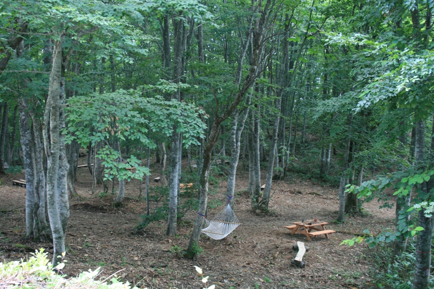 いわたけゆり園＆マウンテンビュー036