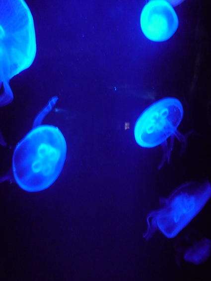 Ｌｅｇｏ-０６７Ｆ