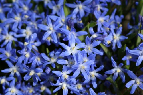 Ｐ１０１-００２Ｆ