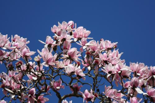 Ｐ１０１-００４Ｆ