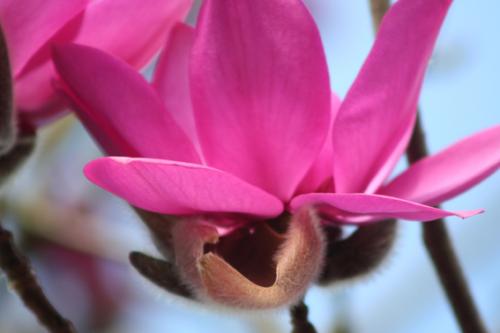 Ｐ１０１-００８Ｆ