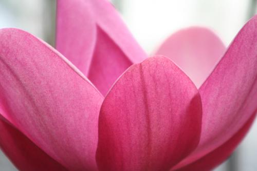 Ｐ１０１-０１６Ｆ