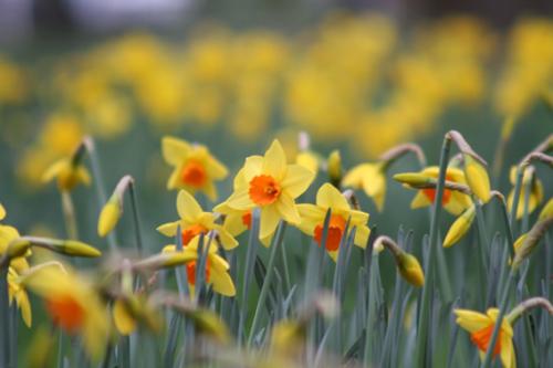 Ｐ１０１-０１１Ｆ