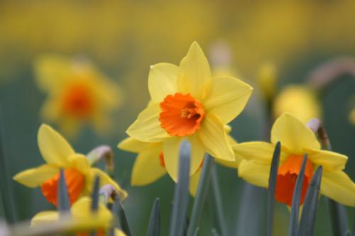 Ｐ１０１-０１２Ｆ