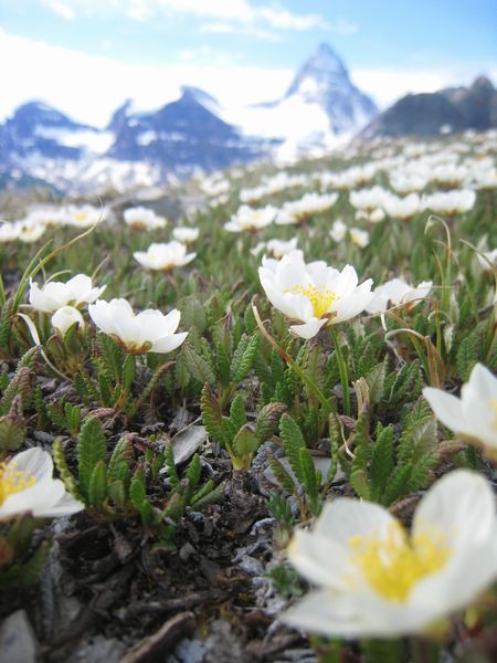 アシニボイン　４