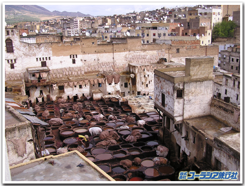 フェズのタンネリー