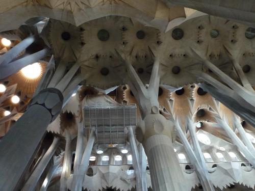 サグラダファミリア内装