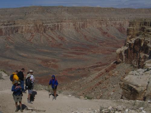 スーパイ・ヒルトップより