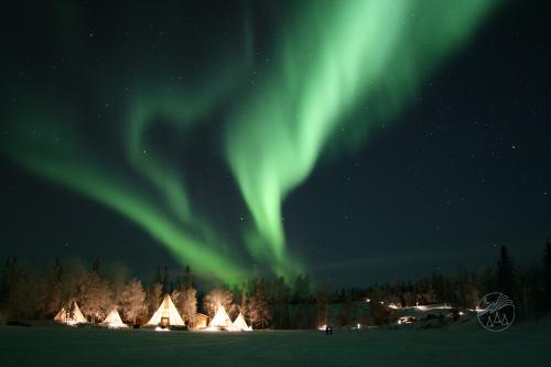 イエローナイフ