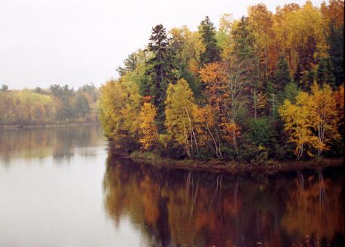 カナダ紅葉プリンスエドワード
