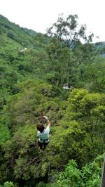 canopy adventure