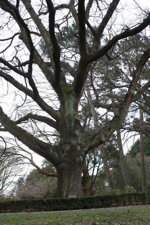 Ｐ１０１-０３１Ｆ