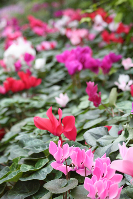 Ｐ１０１-０３９Ｆ