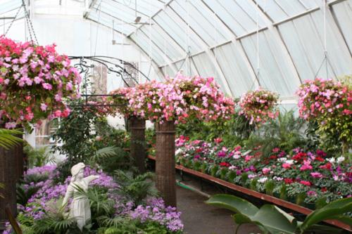 Ｐ１０１-０４３Ｆ