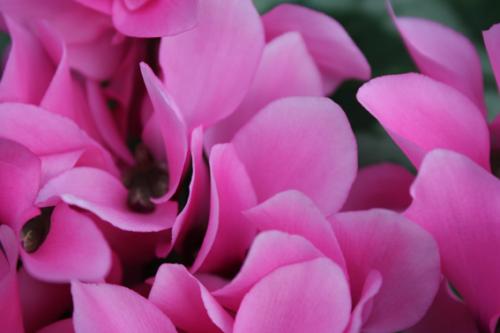 Ｐ１０１-０４９Ｆ