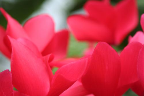 Ｐ１０１-０５０Ｆ