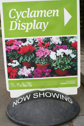 Ｐ１０１-０５９Ｆ