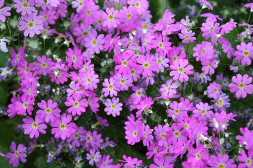 Ｐ１０１-０５７Ｆ