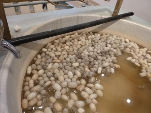 トルコ絨毯工場